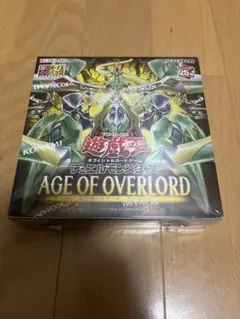 エイジオブオーバーロード　未開封BOX 初版