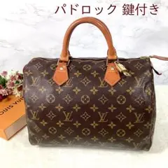 *美品* ルイヴィトン モノグラム スピーディ30 ハンドバック