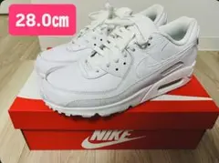 NIKE AIRMAX 90 LTR 28.0cm（箱付き）
