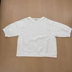 5部袖　Tシャツ　前見頃刺繍