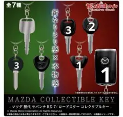 Item thumbnail for item bf8d14f5-edd6-435a-a1b6-701b358b1395