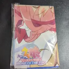 ウマ娘 RTTT 描き下ろしB2布ポスター　Amazon購入特典