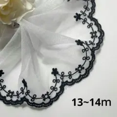 Item thumbnail for item 431eca0d-163f-44c2-a4da-be60188dbb69