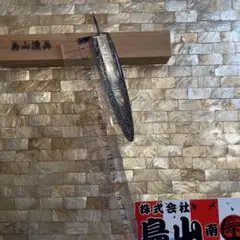 鳥山漁具　弓角　シルバー　11.5 Y-13