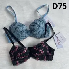 Item thumbnail for item 22264275-5478-4cdd-8e3c-90d7631571ed