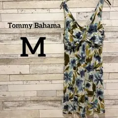 Item thumbnail for item b55cfc51-f96a-4915-82d5-c8d773d22941