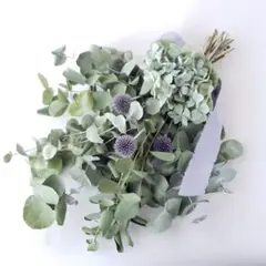 ユーカリと紫陽花のスワッグ