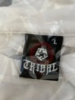 Item thumbnail for item 767ceb8b-1b2d-48aa-a548-e77ca4a1efce