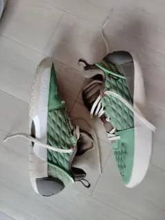 Item thumbnail for item 7467a19a-672c-44f5-9304-e69111a70bfd