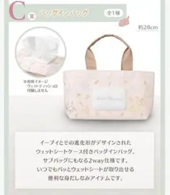 ポケモン1番くじバッグインバッグ