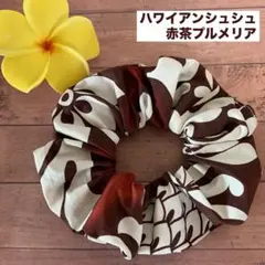 ハワイアンシュシュ/赤茶プルメリア