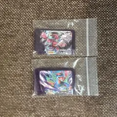 ポケモンフレンダ　スーパートレジャーセット