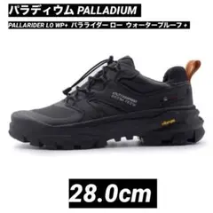Item thumbnail for item b1739133-7b47-4926-ae95-b6edcec469ee
