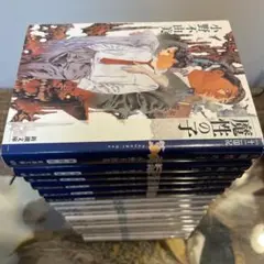 【小野不由美】十二国記 ホワイトハート11巻 新潮6巻 全17巻セット