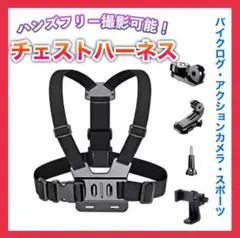 Item thumbnail for item ecc17fcf-d392-4de2-a93a-32b4d489175e