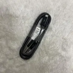 Type-B・USB充電器 未使用品