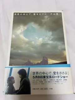 世界の中心で、愛をさけぶ