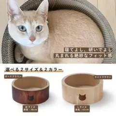 Item thumbnail for item b66aba38-96ff-45af-a5e1-259caac483a5
