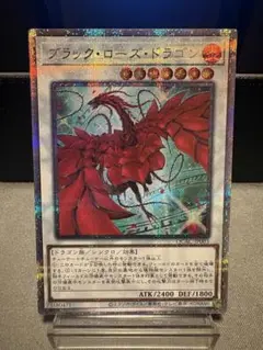ブラックローズドラゴン 絵違い 25thシークレット