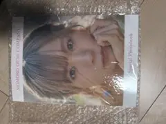 Item thumbnail for item bd803a7b-915d-4117-a73d-13aa139c719a