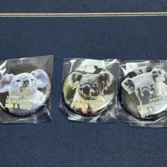 【3個セット】コアラ　缶バッジ　東山動植物園