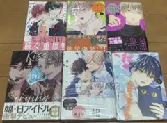BL本セット売り
