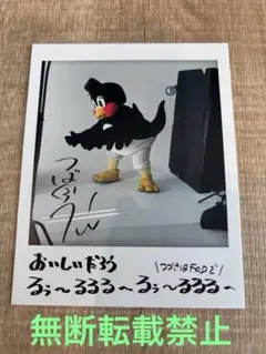つば九郎 かれんだーだれんだー2025 チェキカード 北の国から