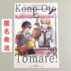 ① この音とまれ！ 30巻 特典 アニメイト イラストカード ポストカード