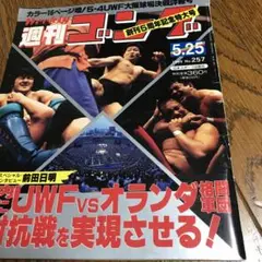 週間プロレス89年 5月23.30日号 週間ゴング 5月25日号 3冊です