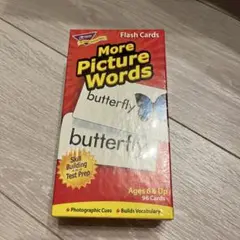 More Picture Words フラッシュカード 96枚