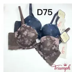 Item thumbnail for item 3ad3850e-27cb-4673-934b-943677de6a33