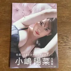 小嶋陽菜 写真集 かもしれない