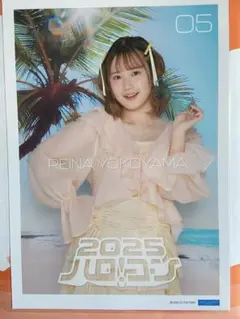 横山玲奈　ハロコン2025 コレクションピンナップポスター