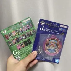 ワンピース　エッグヘッド　一番くじ　J賞　G賞
