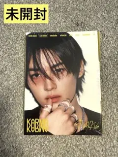 stray kids straykids リノ 新品未開封 KARMA