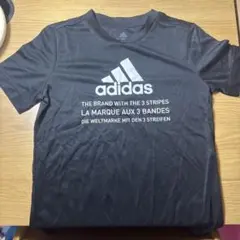 Item thumbnail for item aee9fce6-e297-4134-b29b-92c05ca4f61d