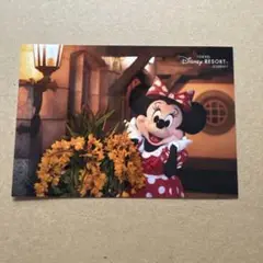 ミニー　スペシャルフォト　ディズニー　写真　イマジニングザマジック