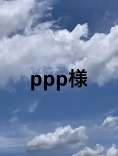ppp様 リクエスト 3点 まとめ商品