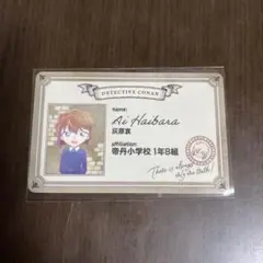 名探偵コナン Ani-Art プラスチックカード 灰原哀