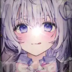 未開封 正規品 めあちゃん 抱き枕カバー
