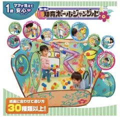頭と体の知育ボールジャングル ピープル