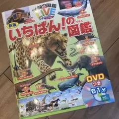 いちばん!の図鑑