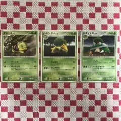 ポケモンカード　ナエトル＜ハヤシガメ＜ドダイトス