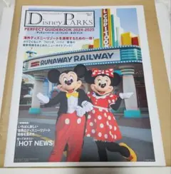 レア アメリカディズニー チケット＆ガイドブック Disney - レア アメリカディズニー チケット＆ガイドブックの