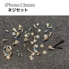 iPhone13mini ネジセット 底ネジ入り