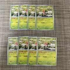 ポケカ シェイミ はなのカーテン 8枚
