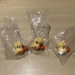 公ちゃん