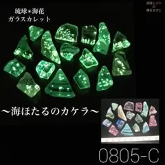 琉球*海花カレットセール　　〜海ほたるのカケラ〜　0805-C