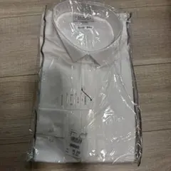 Item thumbnail for item 963f0136-b09c-4018-97a0-29b558f0648a