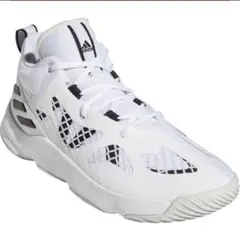 adidas pro next 2021